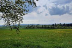 IMG_20220507_110714