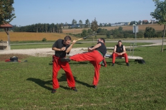 SONY DSC
