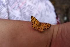 IMG_20230506_145027