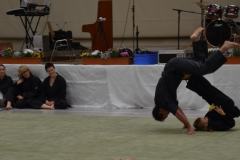 K1024_IMG_7204