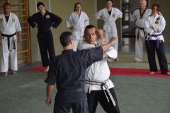 20230429-Kyosho-Systema-14