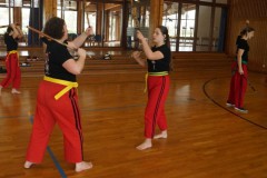 20230331_0402-Arnis-Emmendingen-5
